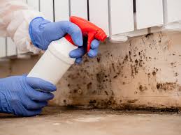 Best Mold Remediation for Healthcare Facilities  in Deep River Center, CT